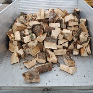 Loose load logs back of truck